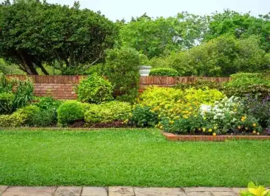 landscaping services Federalsburg